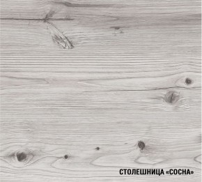 АСАЯ Кухонный гарнитур Экстра (3000 мм) в Красноуральске - krasnouralsk.mebel-74.com | фото