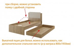 Дуглас (подростковая) М14 Кровать в Красноуральске - krasnouralsk.mebel-74.com | фото