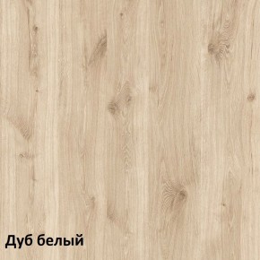 Эйп Шкаф для одежды 13.334 в Красноуральске - krasnouralsk.mebel-74.com | фото