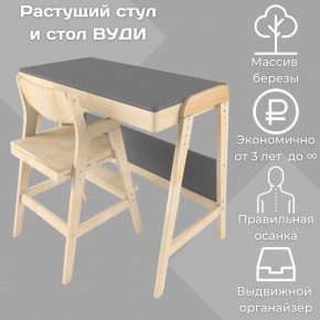 Комплект растущий стол и стул 38 попугаев «Вуди» (Серый, Без покрытия) в Красноуральске - krasnouralsk.mebel-74.com | фото