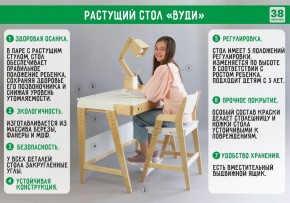 Комплект растущий стол и стул с чехлом 38 попугаев «Вуди» (Белый, Белый, Салют) в Красноуральске - krasnouralsk.mebel-74.com | фото