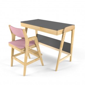 Комплект растущий стол и стул с чехлом 38 попугаев «Вуди» (Серый, Береза, Розовый) в Красноуральске - krasnouralsk.mebel-74.com | фото