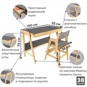 Комплект растущий стол и стул с чехлом 38 попугаев «Вуди» (Серый, Береза, Серый) в Красноуральске - krasnouralsk.mebel-74.com | фото