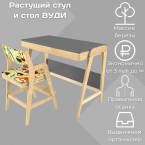 Комплект растущий стол и стул с чехлом 38 попугаев «Вуди» (Серый, Без покрытия, Монстры) в Красноуральске - krasnouralsk.mebel-74.com | фото