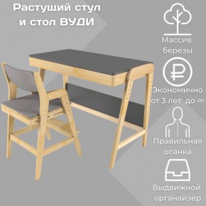 Комплект растущий стол и стул с чехлом 38 попугаев «Вуди» (Серый, Без покрытия, Серый) в Красноуральске - krasnouralsk.mebel-74.com | фото