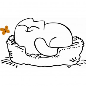 Кровать двухуровневая Кот № 900.1 ЛЕВАЯ (туя светлая/белый) в Красноуральске - krasnouralsk.mebel-74.com | фото