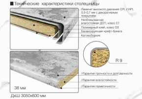 Кухонный фартук со столешницей (А-011) в едином стиле (3050 мм) в Красноуральске - krasnouralsk.mebel-74.com | фото