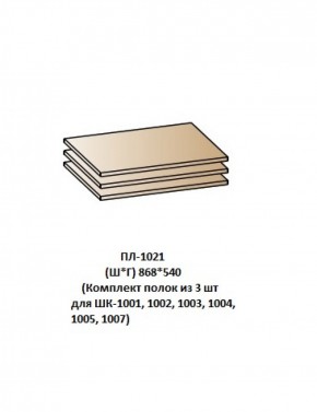 ПЛ-1021 (Комплект полок из 3 шт для ШК-1001, 1002, 1003, 1004, 1005, 1007) в Красноуральске - krasnouralsk.mebel-74.com | фото