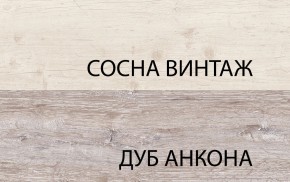 Шкаф 2D1S, MONAKO, цвет Сосна винтаж/дуб анкона в Красноуральске - krasnouralsk.mebel-74.com | фото