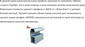 Шкаф-купе 1500 серии SILVER S4+S3Z+B2+PL1 (2 ящика+1 штанга) профиль «Серебро» в Красноуральске - krasnouralsk.mebel-74.com | фото