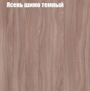 Шкаф-купе «ТАНДЕМ» 2-х дверный в алюминиевом профиле (Дверь К+К) 1200/h2200 в Красноуральске - krasnouralsk.mebel-74.com | фото