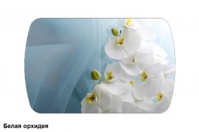 Стол Бостон 900*600 (опоры Брифинг) Стекло/фотопечать Белая Орхидея в Красноуральске - krasnouralsk.mebel-74.com | фото