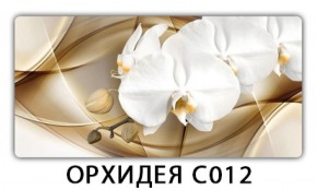 Стол раздвижной Трилогия с фотопечатью Доска D110 в Красноуральске - krasnouralsk.mebel-74.com | фото
