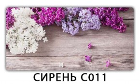 Стол раздвижной Трилогия с фотопечатью Орхидея C012 в Красноуральске - krasnouralsk.mebel-74.com | фото