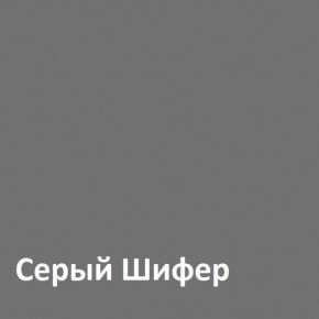 Юнона Шкаф торцевой 13.221 в Красноуральске - krasnouralsk.mebel-74.com | фото